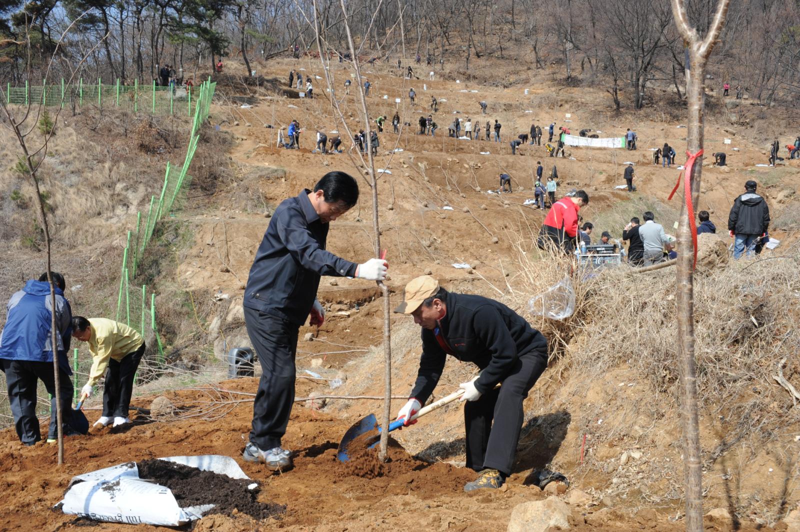 제67회 식목일행사의 2번째 이미지