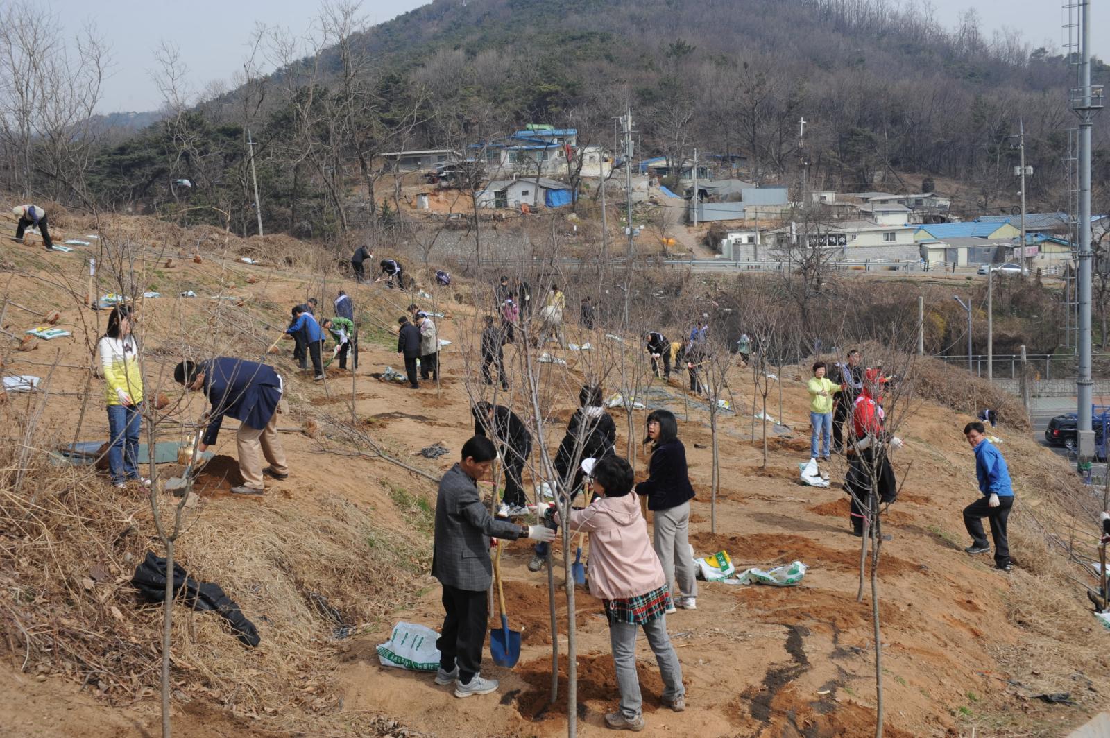 제66회 식목일행사의 2번째 이미지