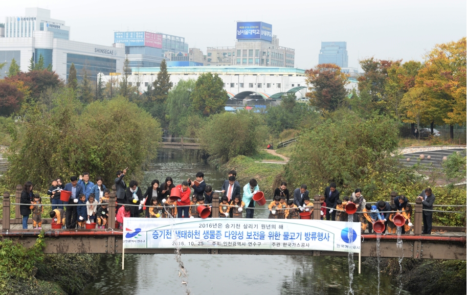 연수구, 승기천 토종물고기 방류행사의 2번째 이미지