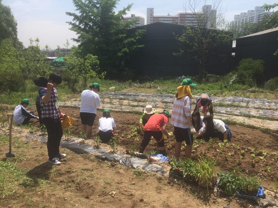 선학동, 청소년 농부학교의 2번째 이미지