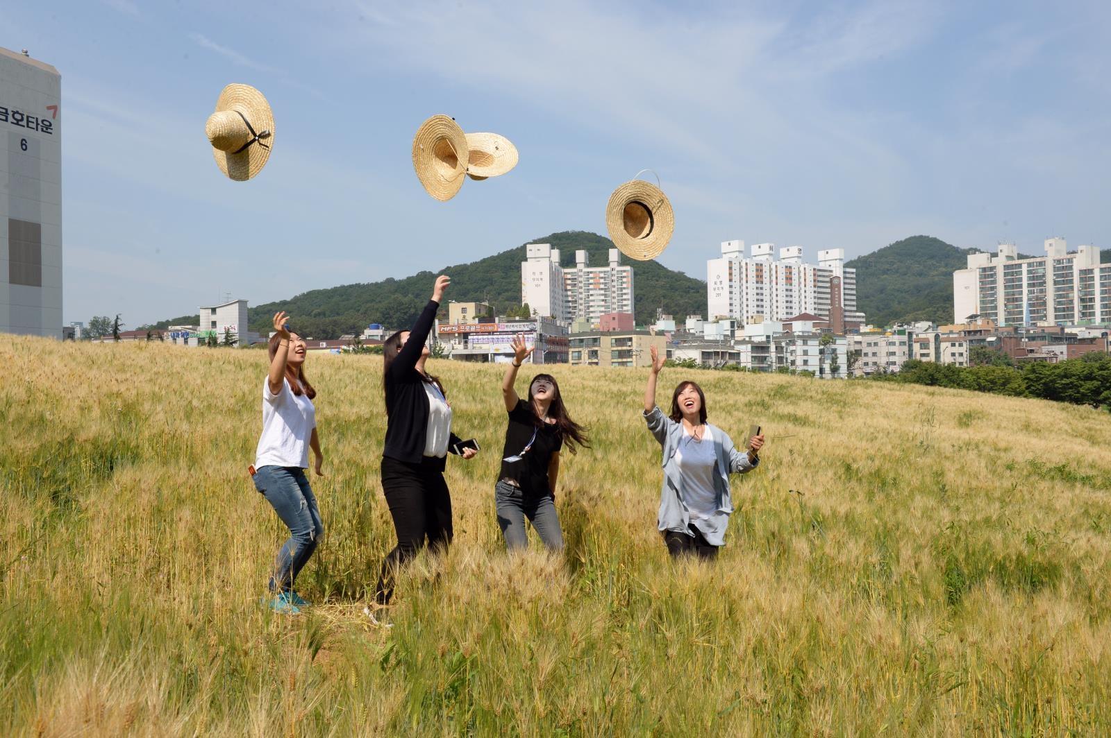 선학경기장 보리동산 구경오세요의 1번째 이미지